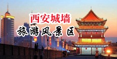 小鸡吧操大逼视频中国陕西-西安城墙旅游风景区
